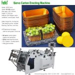 800s-octagonal-box-erecting-machine-fruit-golden-1